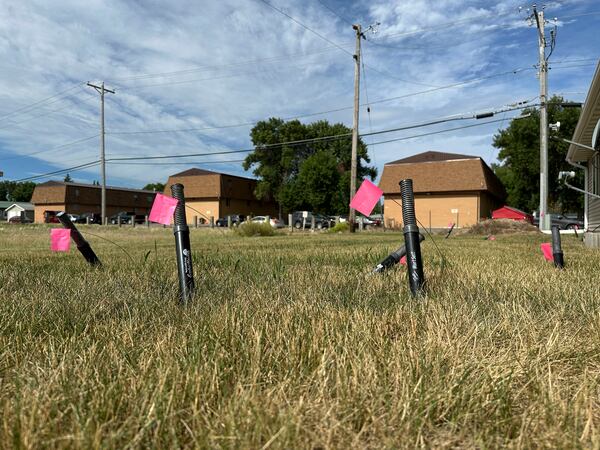 Snare traps set for Richardson's ground squirrels poke up from the ground along an apartment building on Monday, July 14, 2025, in Minot, N.D. (AP Photo/Jack Dura)