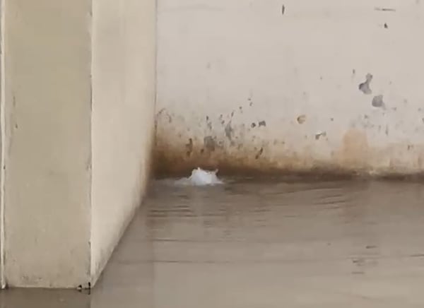Among the troubles at the Fulton County Jail is flooding during heavy rain, which occurred again just last week. (Courtesy of Fulton County Sheriff's Office) 