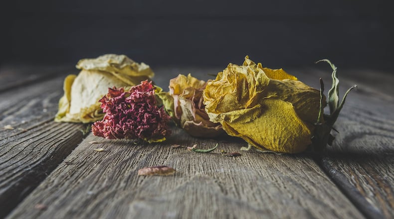 Dried and decaying flowers, branches and leaves are a big feng shui no-no. (Dreamstime)