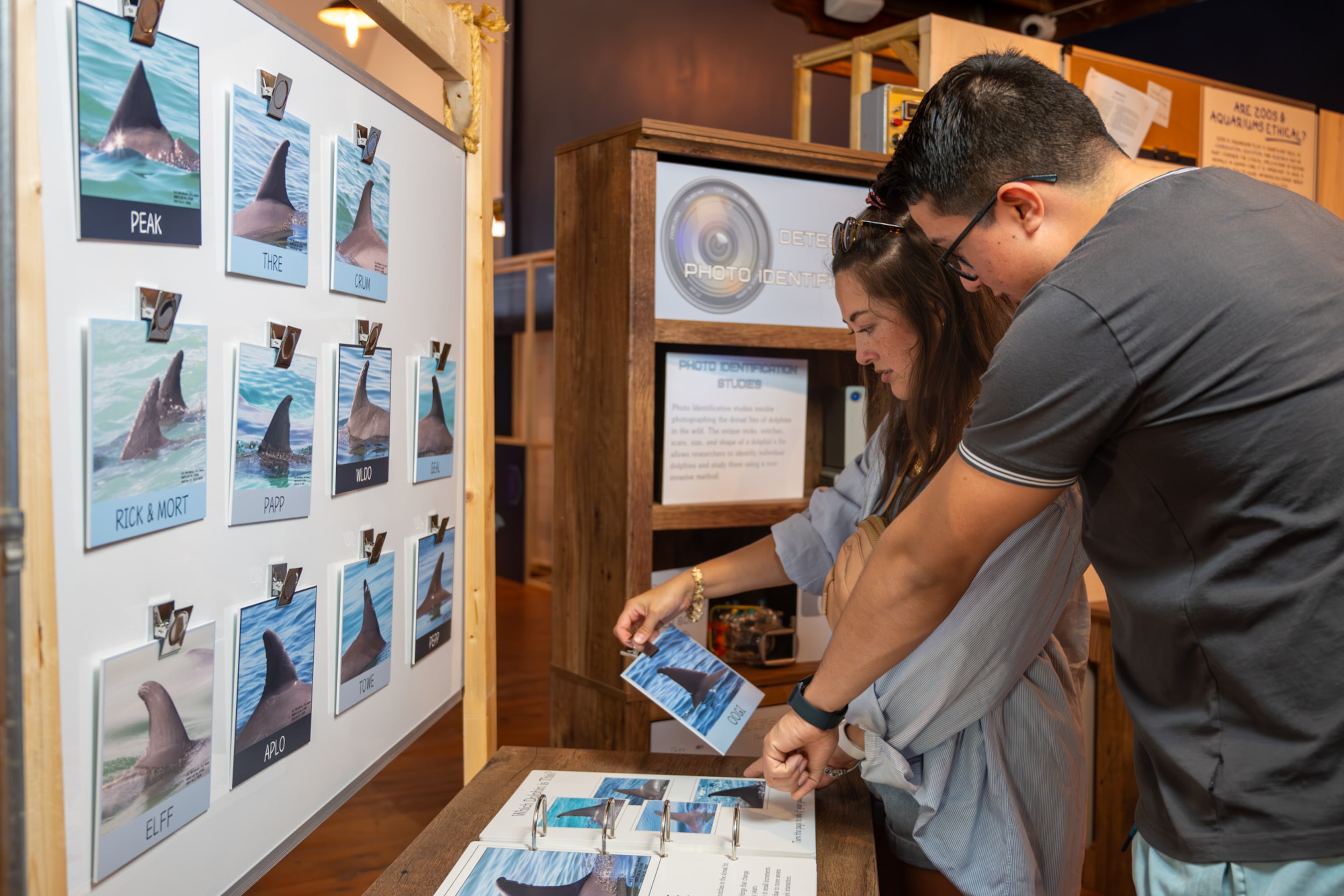 Dolphin Life Hospital and Exploratorium opened this year in Islamorada, Florida.
(Courtesy / Dolphin Life Key Largo)