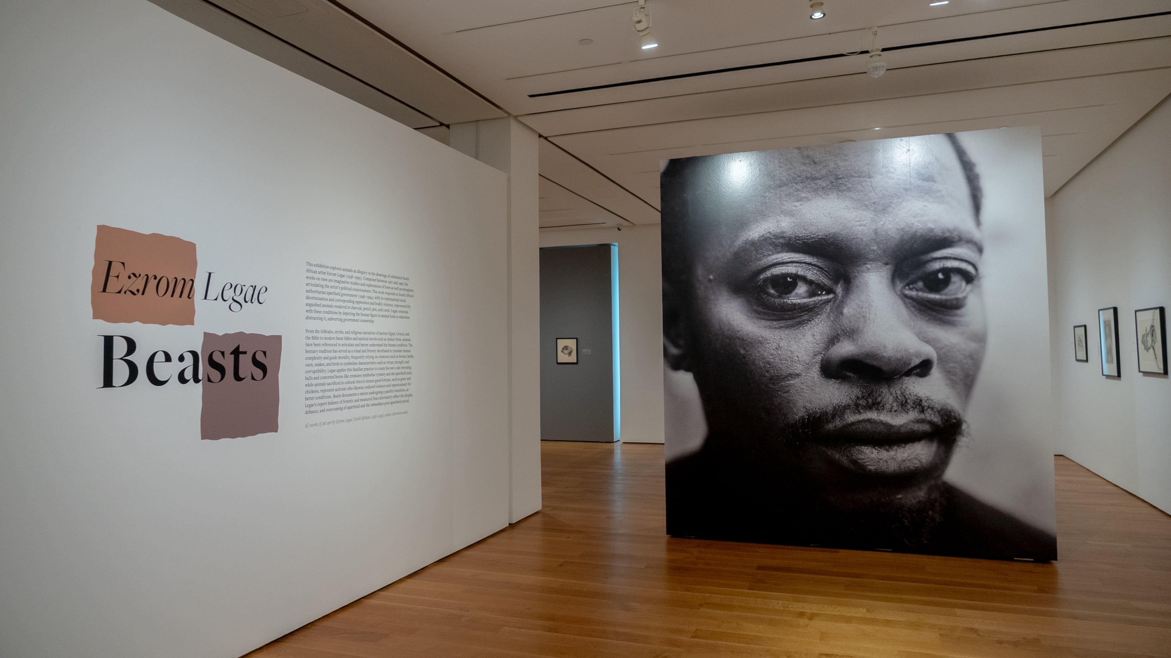 Ezrom Legae is the subject of a High Museum of Art exhibition, "Beasts," focused on animal imagery in the South African artist's drawings and sculpture. (Courtesy of High Museum of Art)