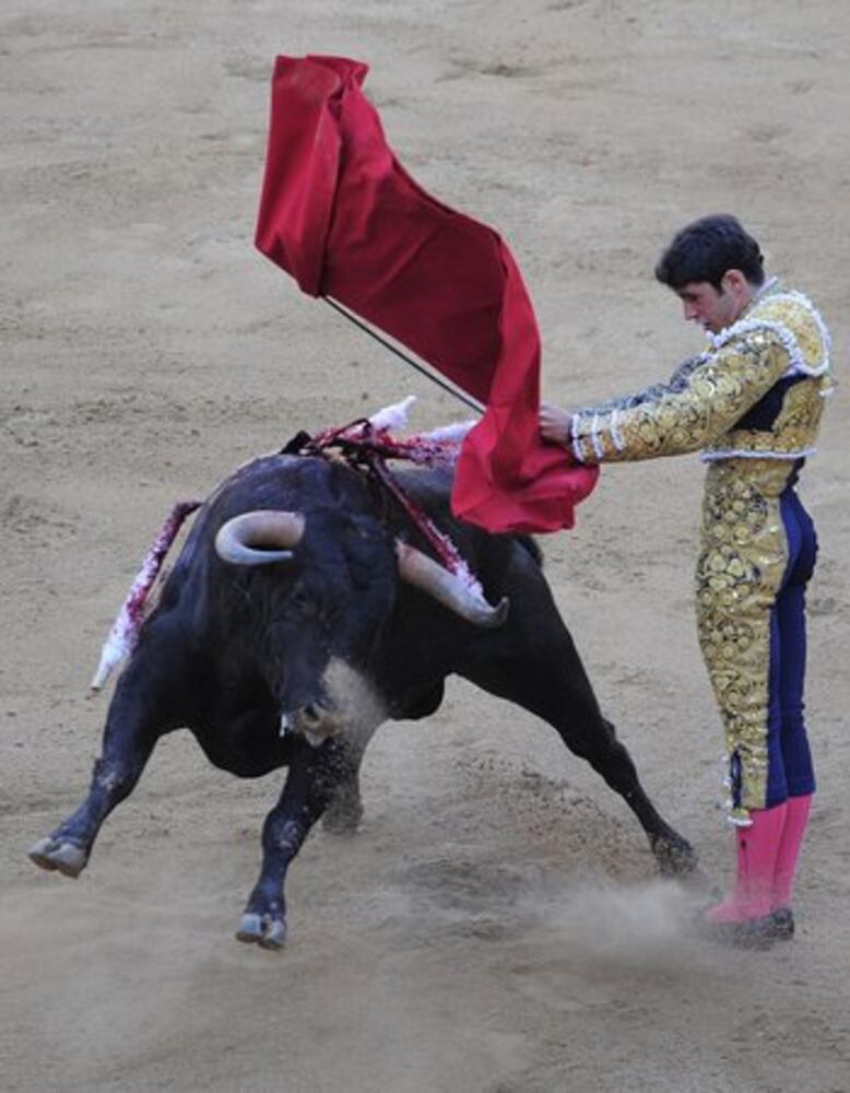 Bullfighting protest in Spain