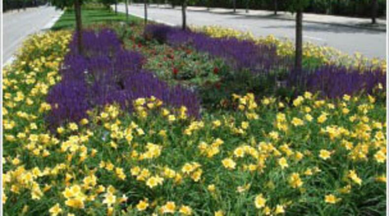 A roadway median along Peachtree Parkway improved by the Peachtree Parkway improvement District (courtesy PPID)