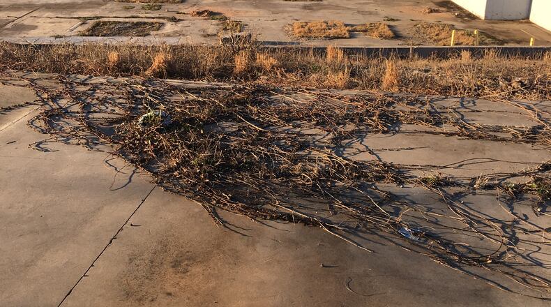 This is a portion of the 13 acres owned by Avila Real Estate and slated for a mixed use development. Currently an expanse of cracked concrete and kudzu, this is the former site for Georgia Duck & Cordage Mill and later Fenner Dunlop, the former business dating to 1916.The mill buildings were razed and the property annexed into the city in 2010. Bill Banks for the AJC
