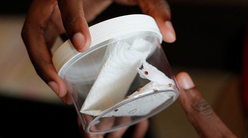 ROSEMONT, IL - SEPTEMBER 22: Bed Bug Central public relations associate Calvin Allen shows a vial containing live bed bugs at the Bed Bug University North American Summit 2010 on September 22, 2010 in Rosemont, Illinois. The two-day conference of bed bug experts and pest control workers featured seminars from researchers and vendors displaying the latest products focused on bedbug detection, elimination and prevention. (Photo by Brian Kersey/Getty Images)