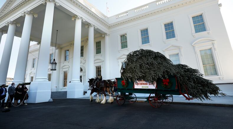 The White House Christmas Tree is delivered Monday. The Fraser fir is slightly taller than 18 feet and is from Dan and Bryan Trees in West Virginia and will serve as a centerpiece for Christmas decorations at the White House.