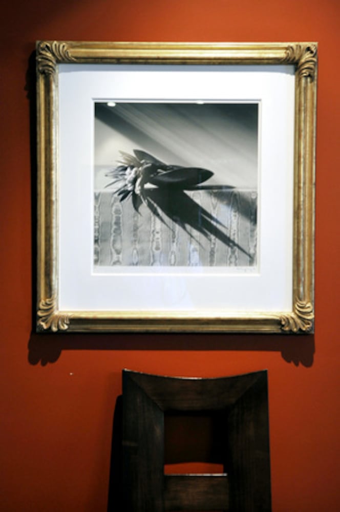 Photography sets tone for Ed Roland's retreat