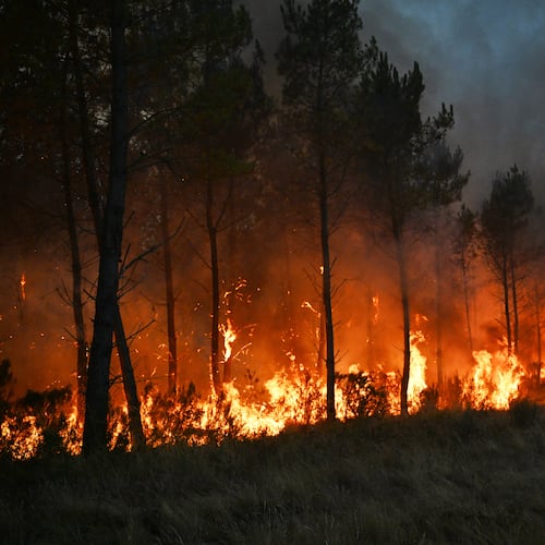 Trees bur as a wildfire rages near Marcheprime, outside, Bordeaux, France, Sunday, July 26, 2026. (AP Photo/Emma Da Silva)