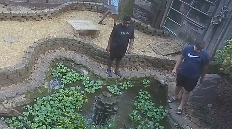 Johns Creek Police would like to speak to the teens in this photo about the missing box turtles at Autry Mill Nature Preserve. (Courtesy Autry Mill Nature Preserve)