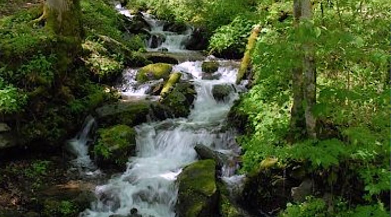 The public has until May 19 to comment with the Environmental Protection Division Watershed Protection Branch on the proposed construction of multi-family housing units and townhouses on Stanley Street Northeast in Sugar Hill. (Courtesy Environmental Protection Division Watershed Protection Branch)