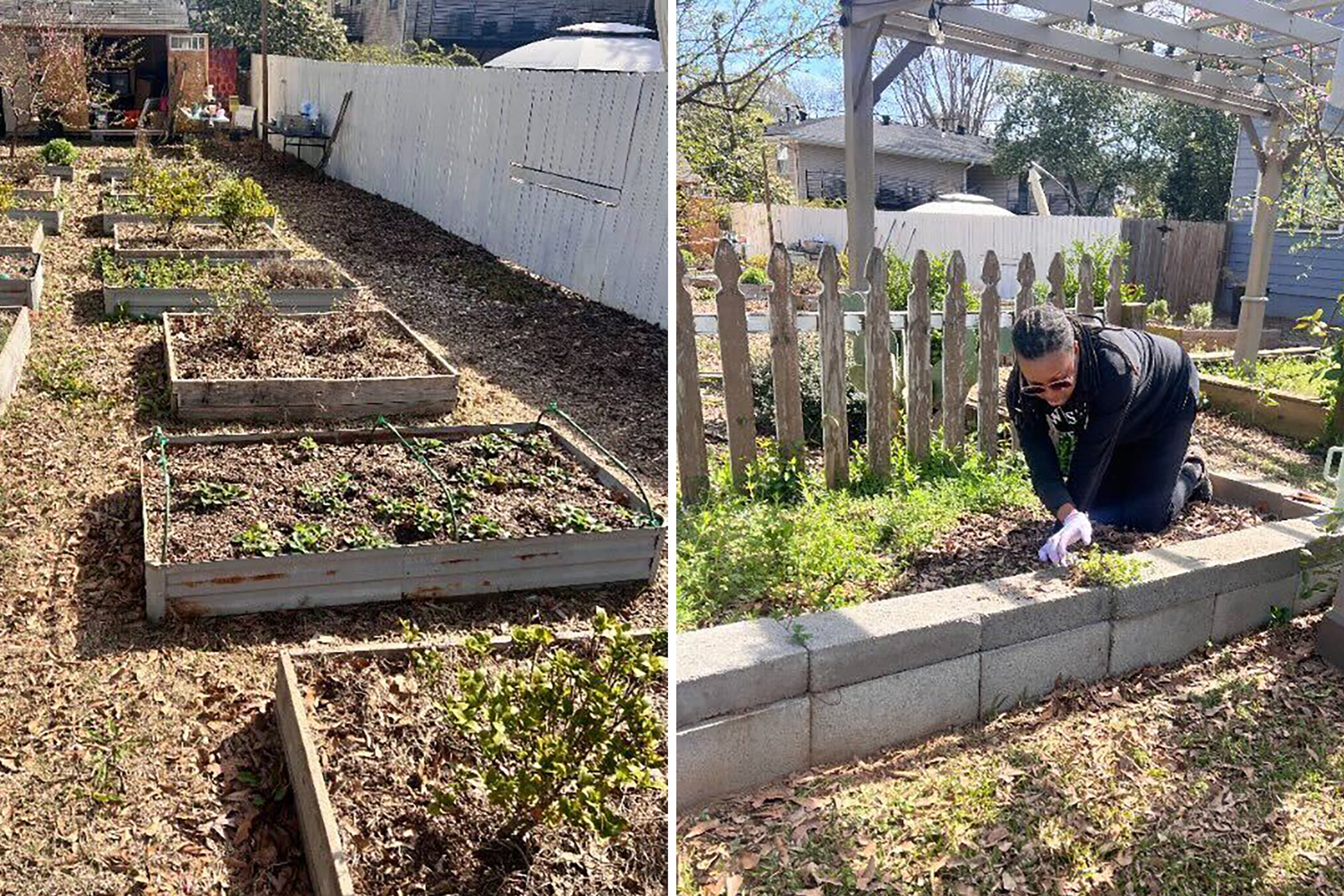 A Sip of Paradise Garden accepts applications for new members. Individual gardeners share plots and local businesses can lease plots and engage with the community by donating food grown in the garden. (Courtesy of Keyatta Mincey Parker)