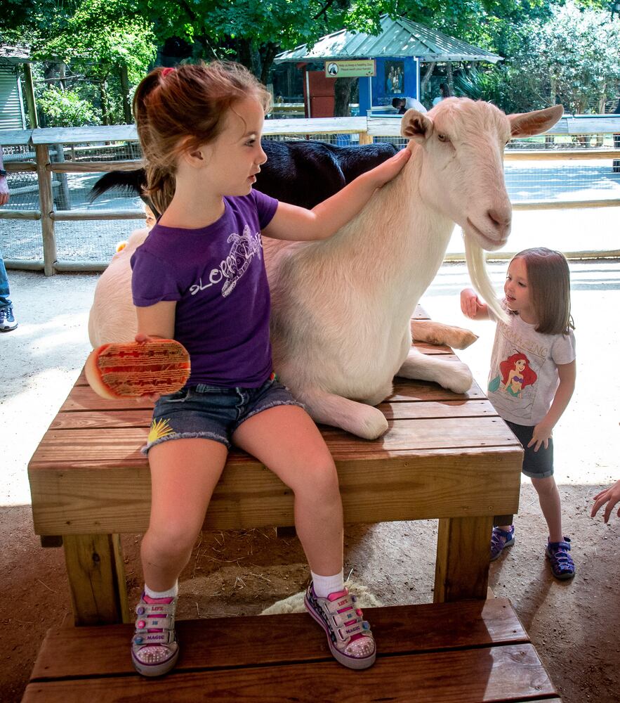 PHOTOS: 090819 zoo
