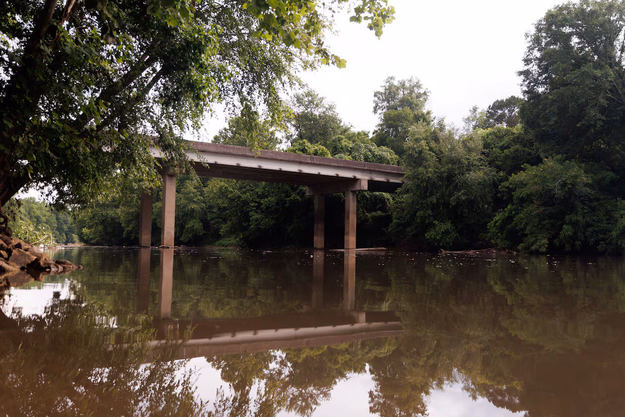 The Riverkeeper’s executive director estimated there are thousands of dead fish in the river and called it the worst fish kill he’s seen in his 20 years with the organization. (Estela Muñoz/AJC)