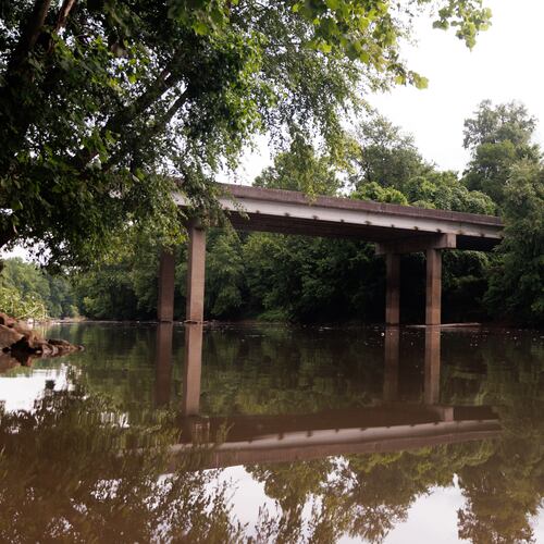 The Riverkeeper’s executive director estimated there are thousands of dead fish in the river and called it the worst fish kill he’s seen in his 20 years with the organization. (Estela Muñoz/AJC)