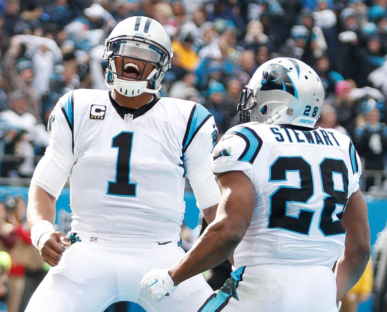 Cam Newton celebrates: Jan. 17, 2016