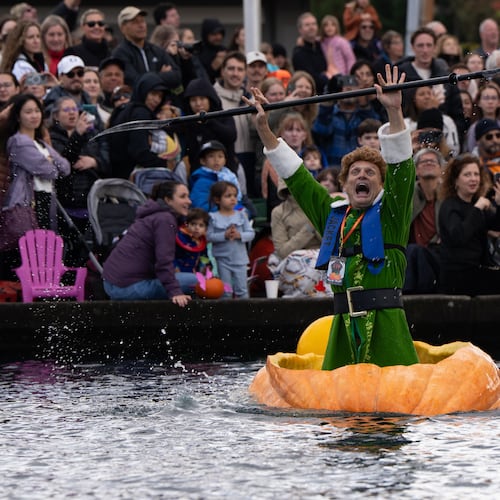 Gary Kristensen, dressed up as the character Buddy from the holiday movie "Elf," celebrates after winning a race during the West Coast Giant Pumpkin Regatta on Sunday, Oct. 19, 2025, in Tualatin, Ore. (AP Photo/Jenny Kane)