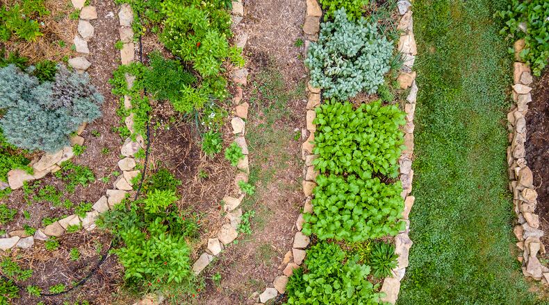 Author Kelly Smith Trimble used a sloped backyard to her advantage in creating this terraced vegetable garden edged with stones sourced from the Tennessee landscape, to create a biophilic design.
(Courtesy of Derek Trimble)