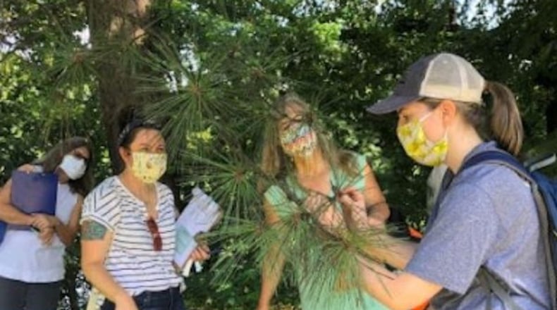 Training begins July 9 for eight consecutive Saturdays for adults who want to be trained as volunteer TreeKeepers to care for Atlanta's urban forest. (Courtesy of Trees Atlanta)