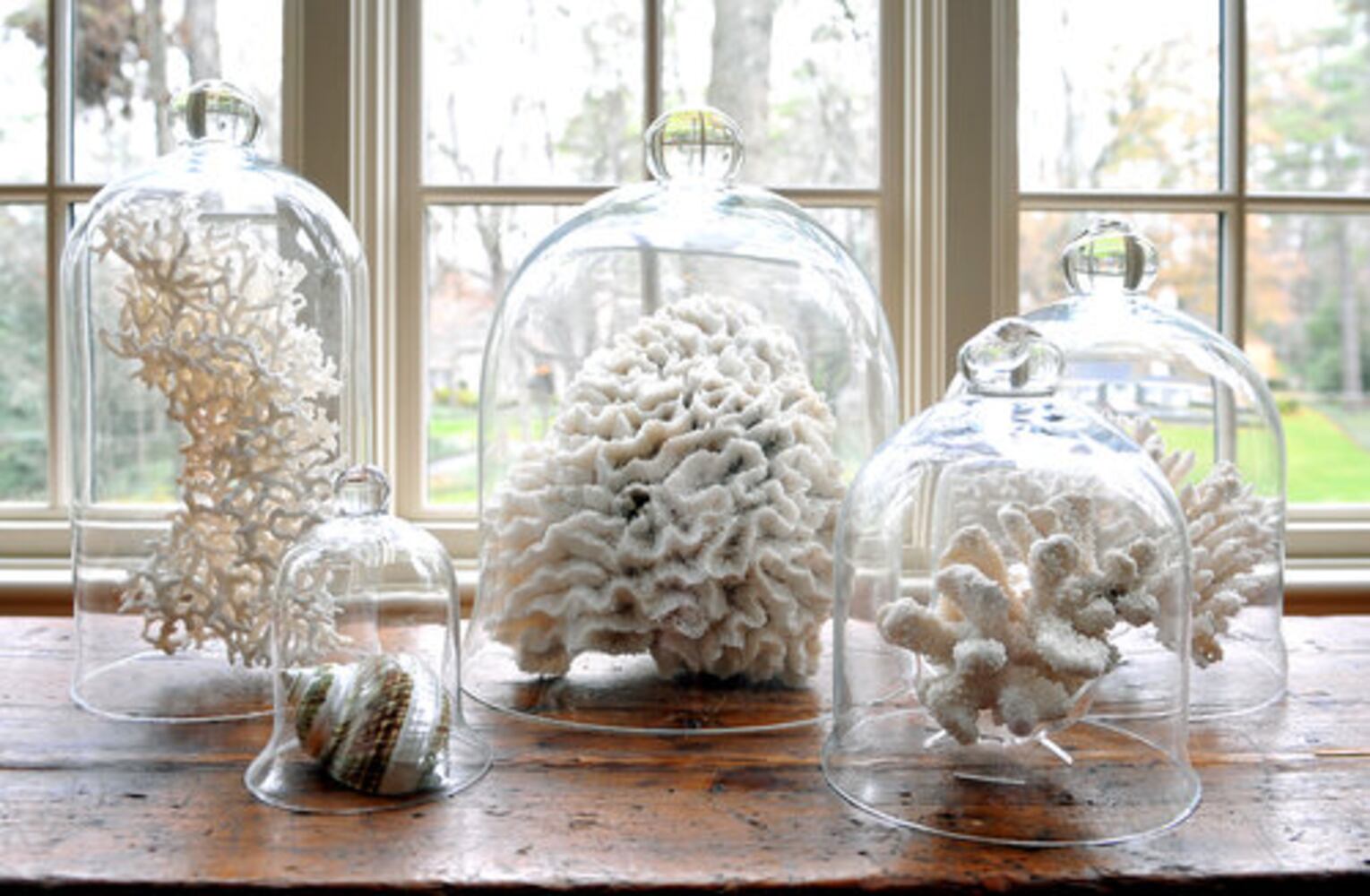 Mix of old and new creates homey space