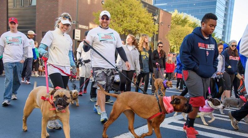 Walk for the Animal 2015