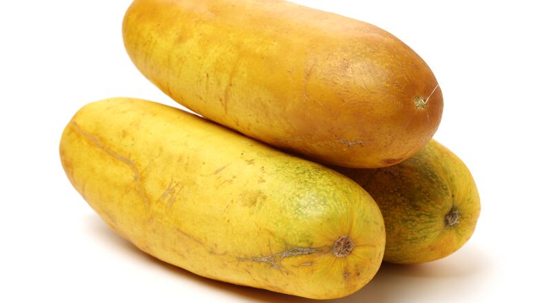 Cucumbers turn yellow - and then orange - when overripe. (Dreamstime)