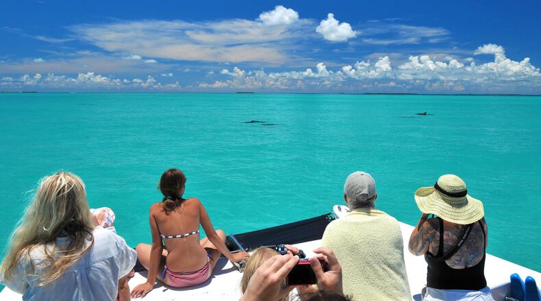 Take advantage of a plethora of water activities in Key West, like the Dolphin Watch & Snorkel tour from Fury Water Adventures. CONTRIBUTED BY FURY WATER ADVENTURES