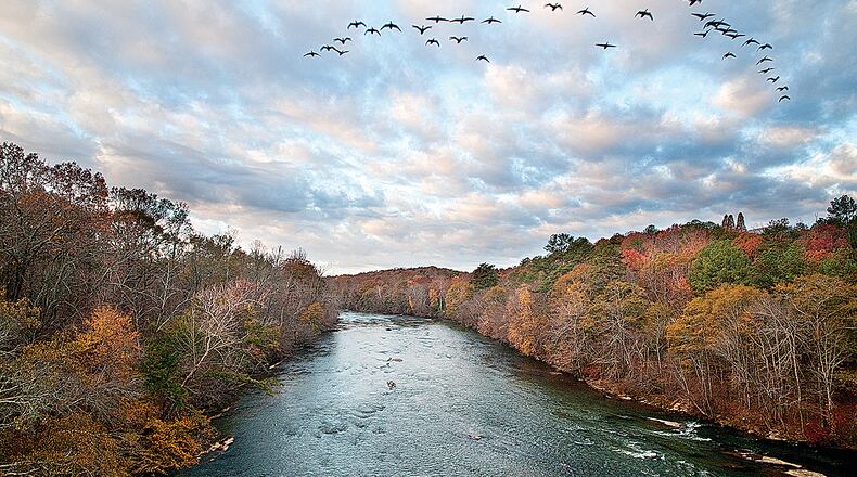 A scene from the Chattahoochee River. (Source: Tom Wilson)