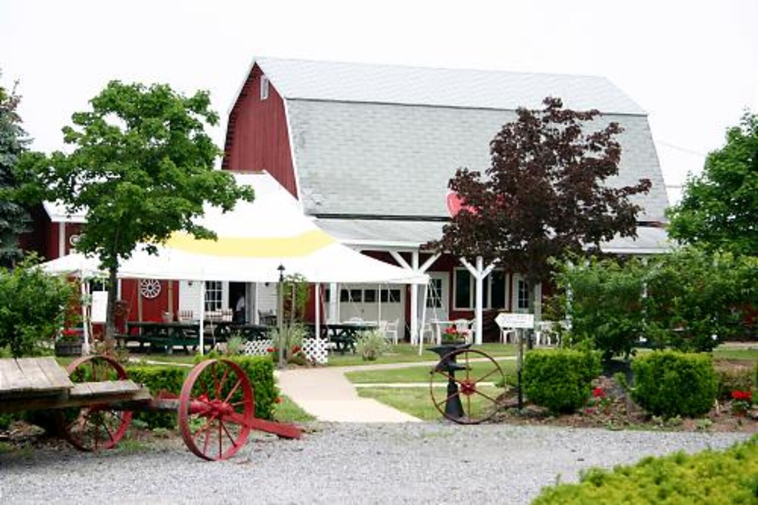 Discovering the Niagara Wine Trail