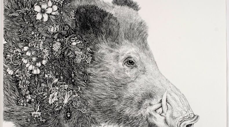 “Root (Boar)” in pen and ink on paper, by Laura Bell.