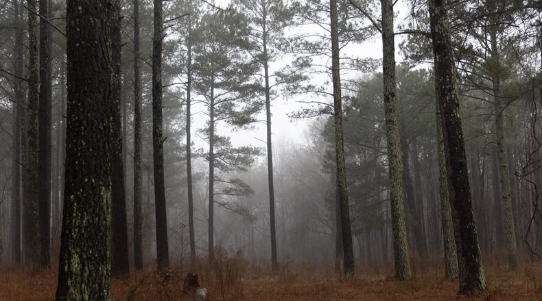 A University of Georgia study recently outlined the history and need for preservation of a tract of land in eastern Gwinnett that runs near GA 316. The area includes about 21 acres and includes a farmhouse from 1894, a water well, one of the oldest dirt road in the state and several homesteads where only a chimney or dandelions remain as a marker on Thursday, Feb 3, 2022. The Rowen Study suggests environmentally conscious development with trails and historical highlights. (Jenni Girtman for The Atlanta Journal Constitution)