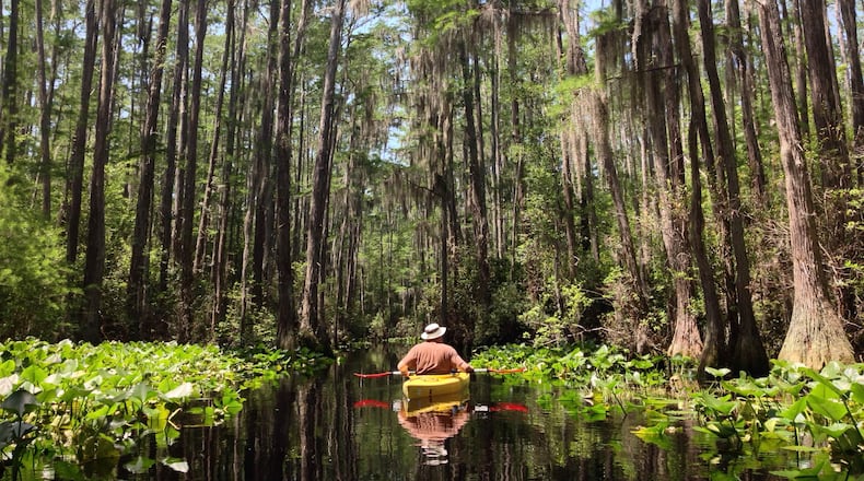 A paddler is shown at the Stephen C. Foster State Park in the Okefenokee Swamp in Fargo, Georgia. The Okefenokee National Wildlife Refuge is set to be nominated as a World Heritage Site, the National Park Service recently announced.