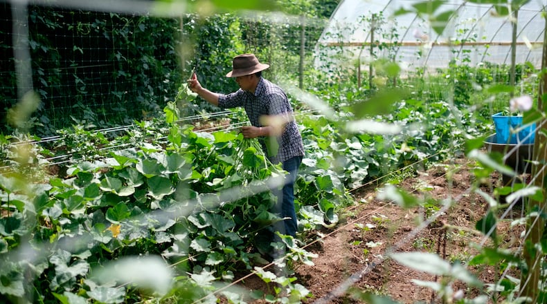 Global Growers Network involves more than 300 growers. Courtesy of Global Growers Network