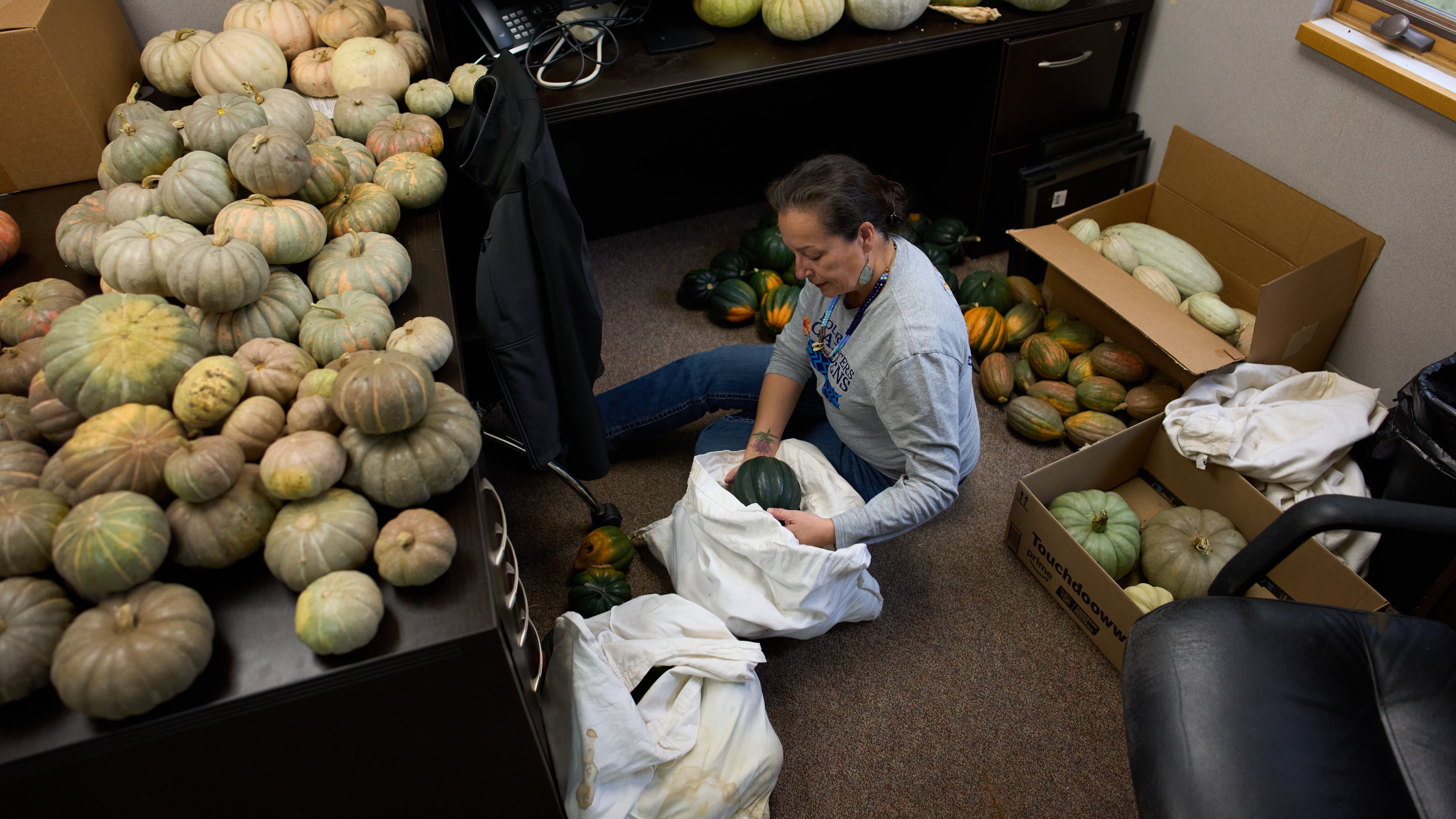 Ruth De La Cruz, food sovereignty director at Nueta Hidatsa Sahnish College, sorts through squash in an office at the school Thursday, Oct. 30, 2025, in New Town, N.D. (AP Photo/John Locher)