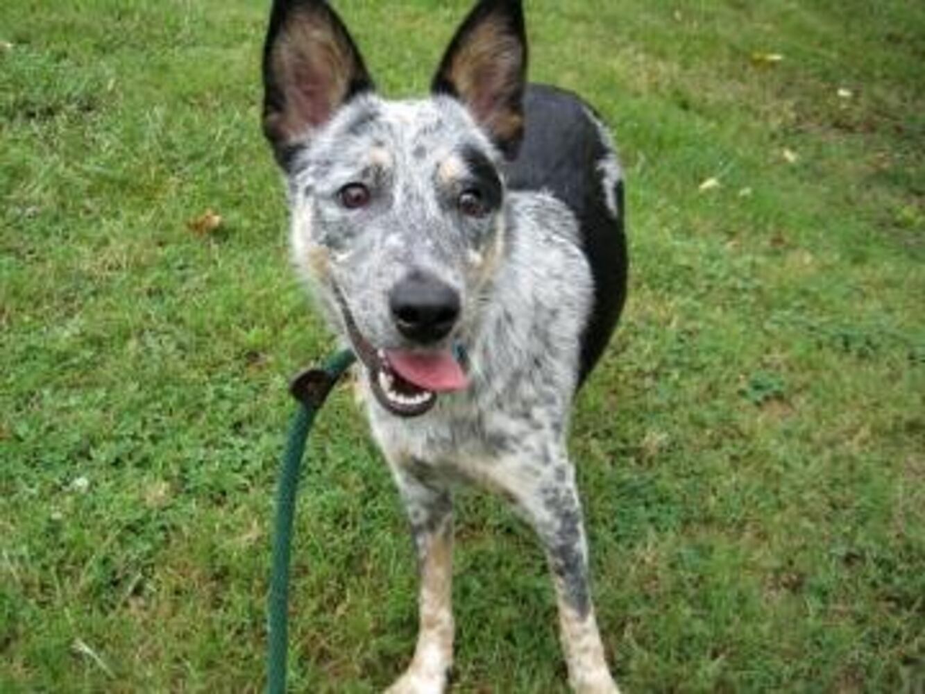 Can you find me a home, please?