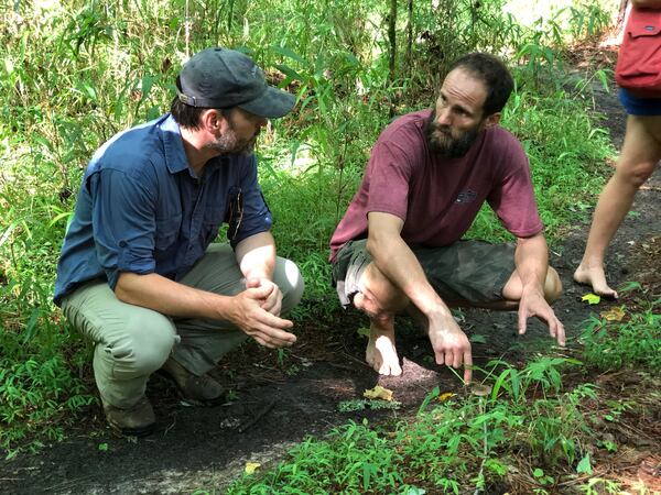 Wonderbird Spirits hired forager Joseph Hosey to scour the distillery's grounds for botanicals that would lend a taste of place to its flagship gin. Courtesy of Wonderbird Spirits