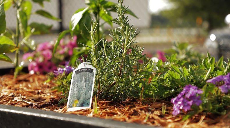 Live Healthy Gwinnett is accepting applications for community garden plots through its Harvest Gwinnett program. (Courtesy Live Healthy Gwinnett)