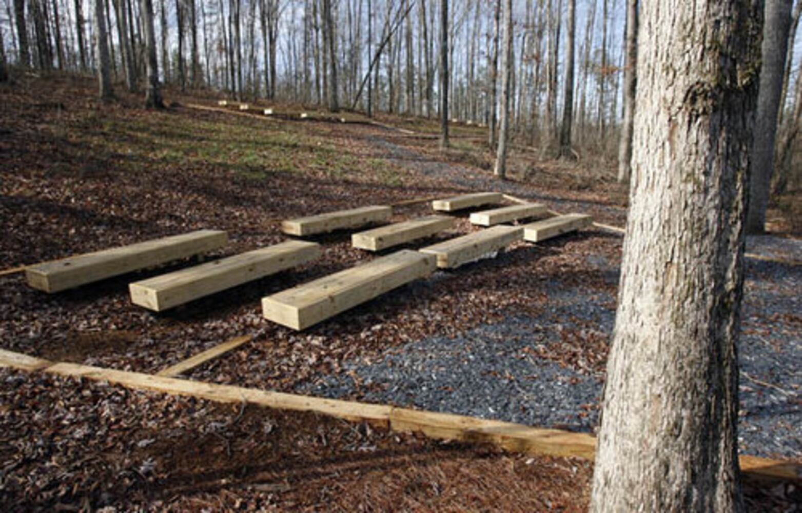Arabia Mountain School