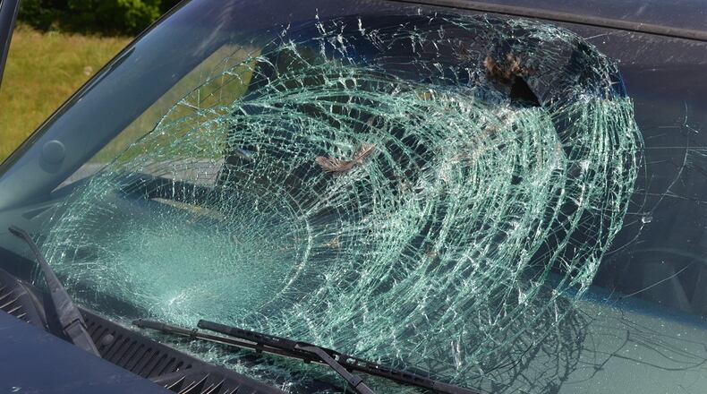 Turkey hits, shatters man's windshield while he's driving on I-575 in Cherokee County