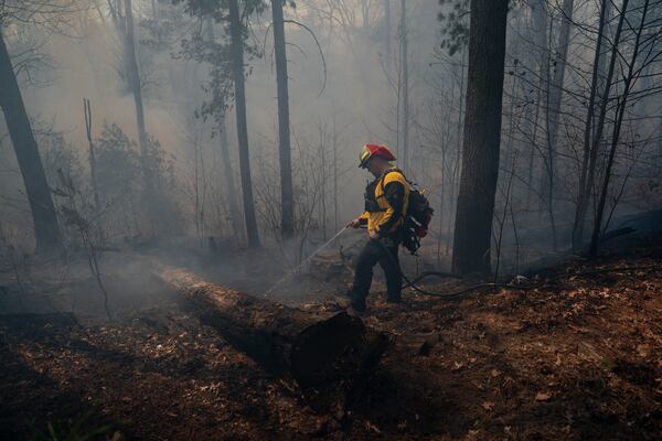 Firefighter John Ward works to control the Black Cove Fire Wednesday, March 26, 2025, in Saluda, N.C.. (AP Photo/Allison Joyce)