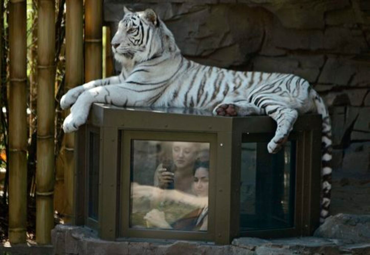 Amusement parks kick-off summer with new attractions