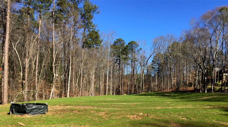 At the Horseshoe Bend Community Association, 17 trees will be planted by a partnership involving the city of Roswell and the association to replace those lost to a lake dredging project and to storms. CITY OF ROSWELL
