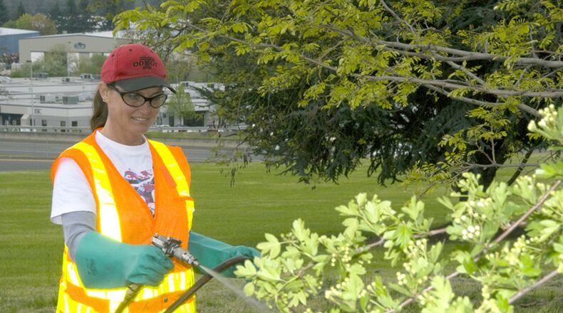 Alpharetta and the North Fulton Community Improvement District will share the cost of maintaining landscaping at five crossings of Ga. 400. WIKIMEDIA COMMONS