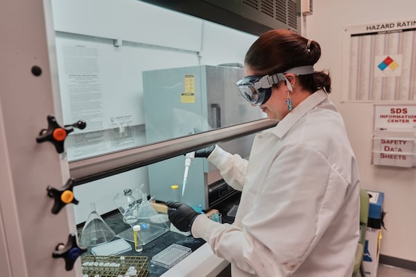 Reese Jackson draws a sample used to measure the hydration level in bees Tuesday, June 17, 2025, at Bowling Green State University in Bowling Green, Ohio. (AP Photo/Joshua A. Bickel)