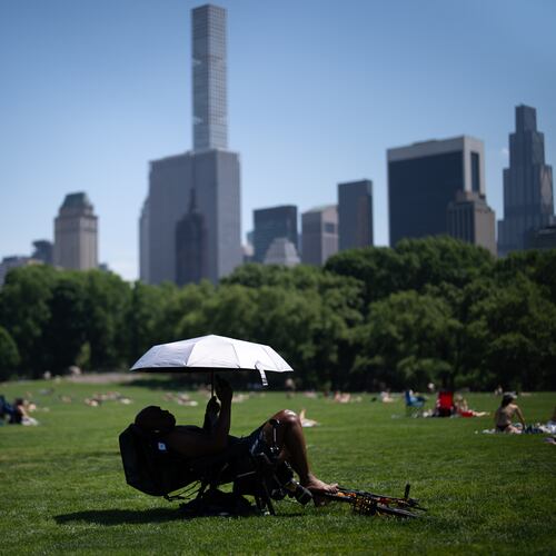 FILE - A person uses an umbrella to shield themselves from the sun during a heat advisory in Central Park, May 19, 2026, in New York. (AP Photo/Adam Gray, File)