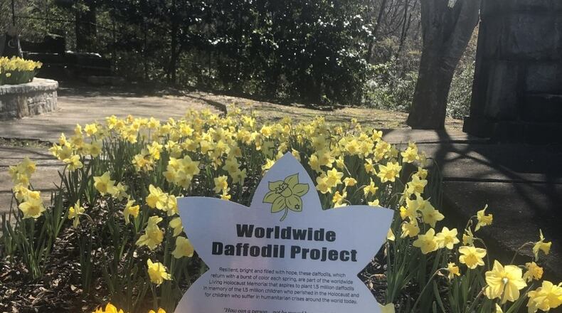 The Worldwide Daffodil Project Garden located at the Grant Park Conservancy.