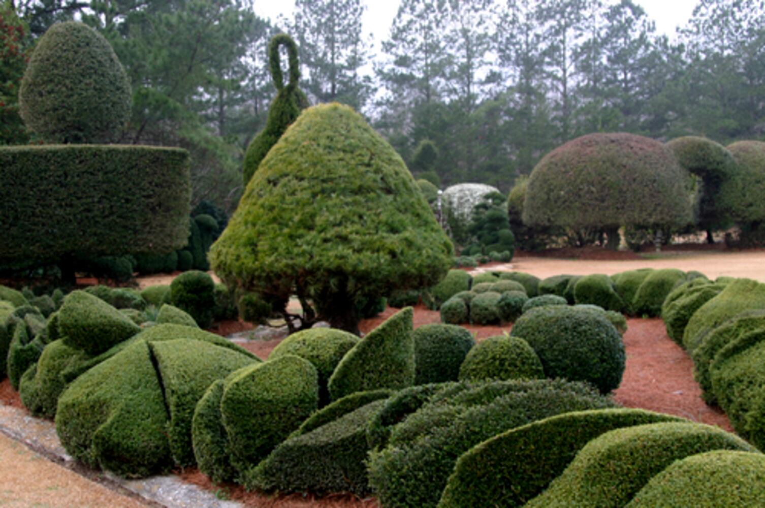 Pearl Fryar: A man and his topiary