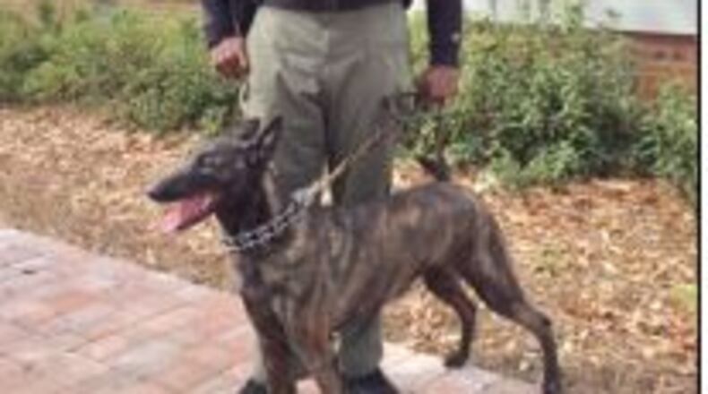 The Jonesboro Police Department’s newest officer is K9 Kleo. CONTRIBUTED