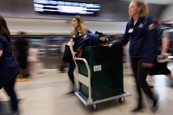 Bald eagle Independence, or “Indy,” from Auburn University travels in a crate at the South Domestic Terminal of the Hartsfield-Jackson Atlanta International Airport on July 3, 2026. (Estela Muñoz/AJC)