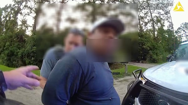 "I'm going to work," the driver of a landscaping company pickup truck repeatedly protested while getting handcuffed by an ICE agent in Savannah, Georgia, on June 11, 2025. (Courtesy of Chatham County Police Department)