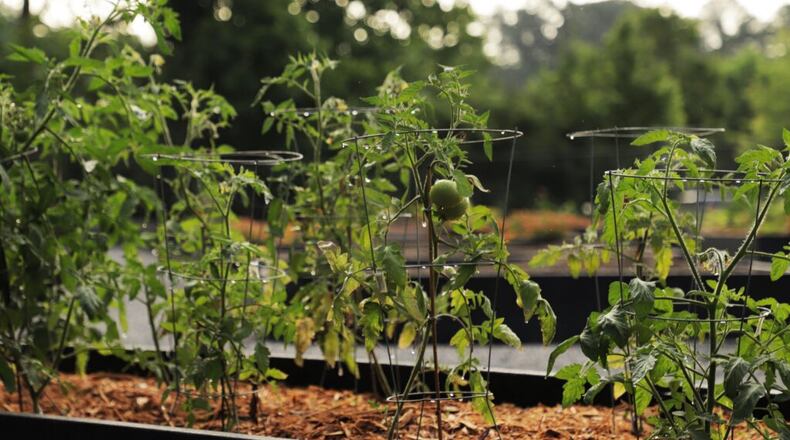 Gwinnett has opened registration for spots at any of the county’s 10 community gardens. COURTESY GWINNETT COUNTY